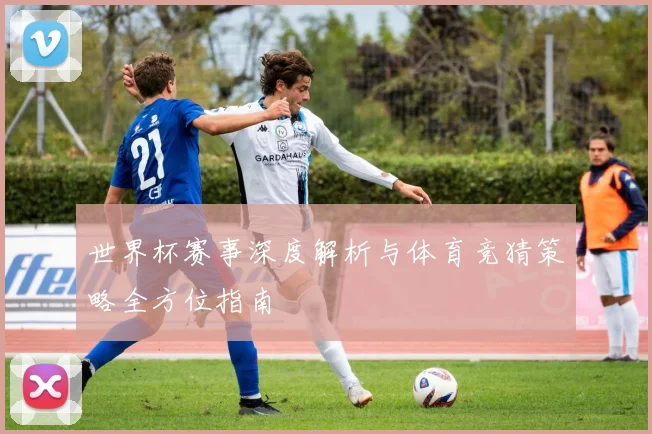 世界杯赛事深度解析与体育竞猜策略全方位指南