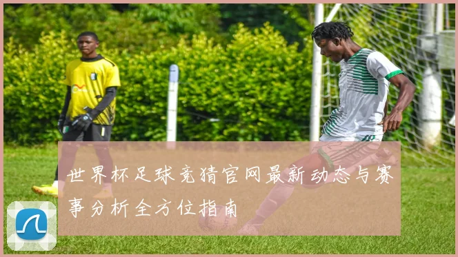世界杯足球竞猜官网最新动态与赛事分析全方位指南