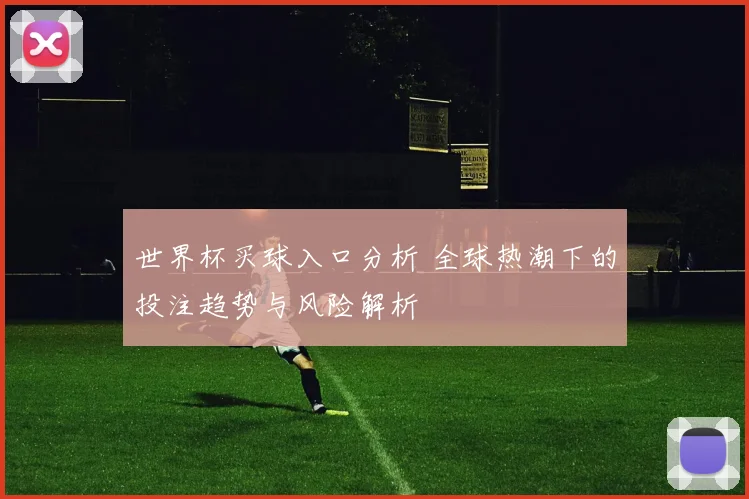 世界杯买球入口分析 全球热潮下的投注趋势与风险解析