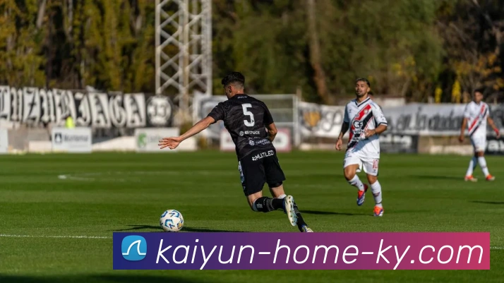 开云平台生态图